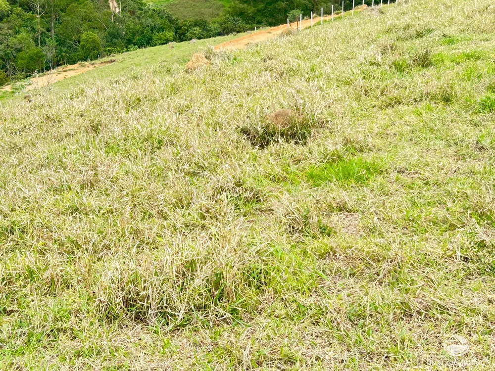 Terreno, 2 hectares - Foto 2