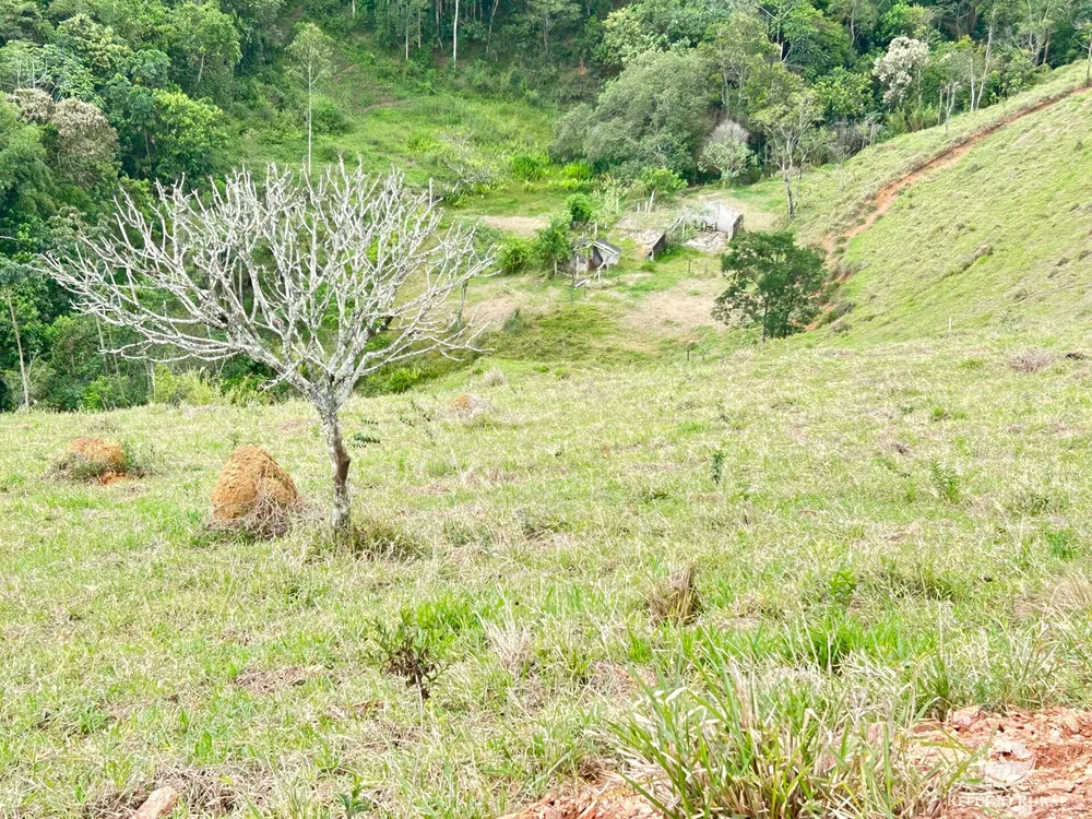 Terreno, 2 hectares - Foto 7