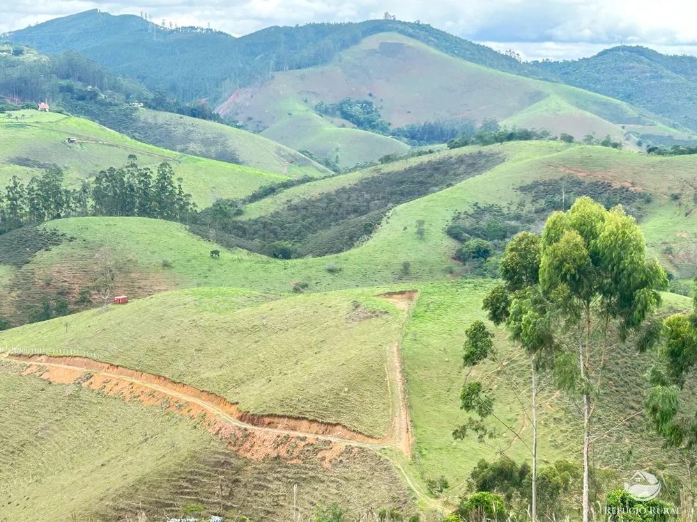Terreno, 2 hectares - Foto 1