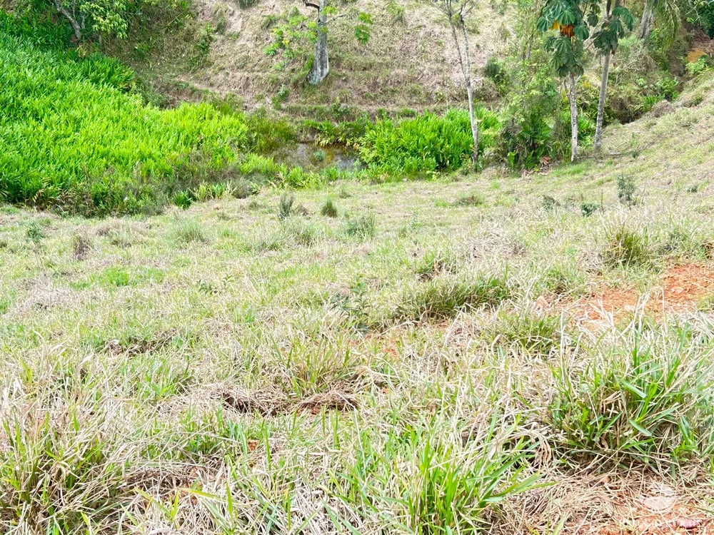 Terreno, 2 hectares - Foto 12