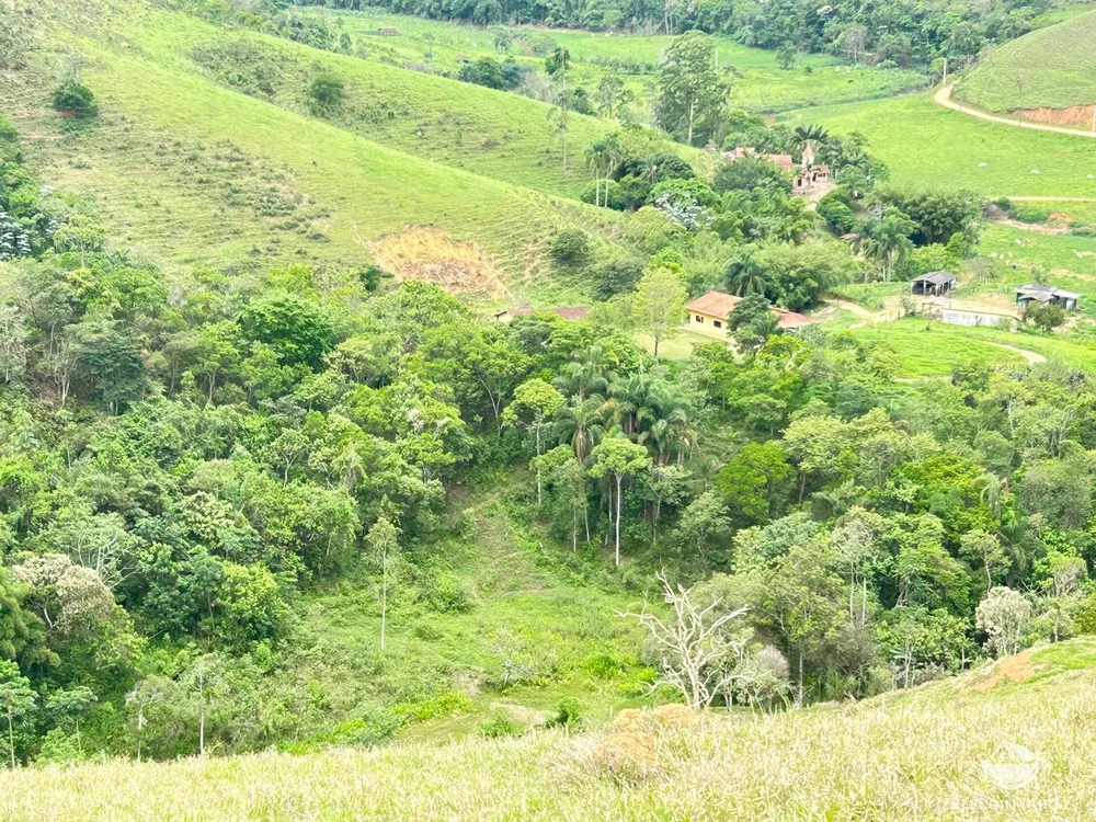 Terreno, 2 hectares - Foto 8