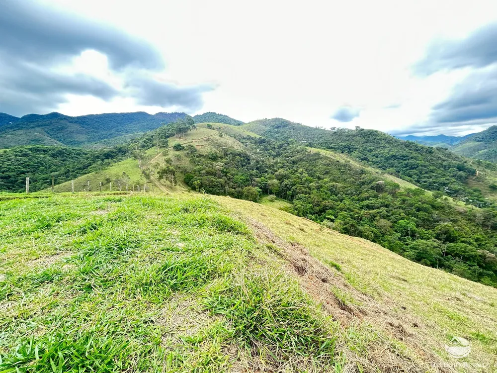 Terreno, 2 hectares - Foto 6