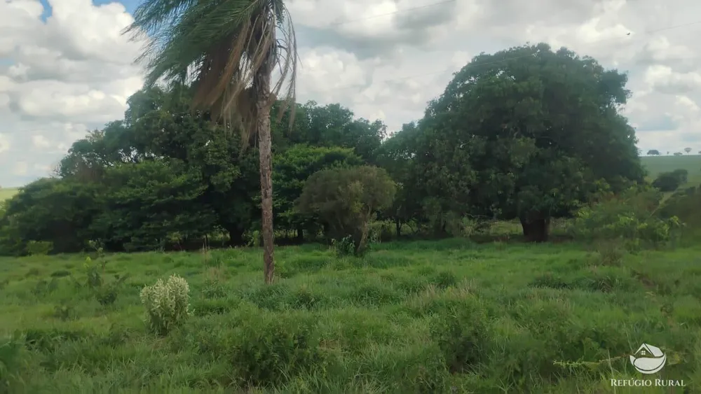 Fazenda, 87 hectares - Foto 2