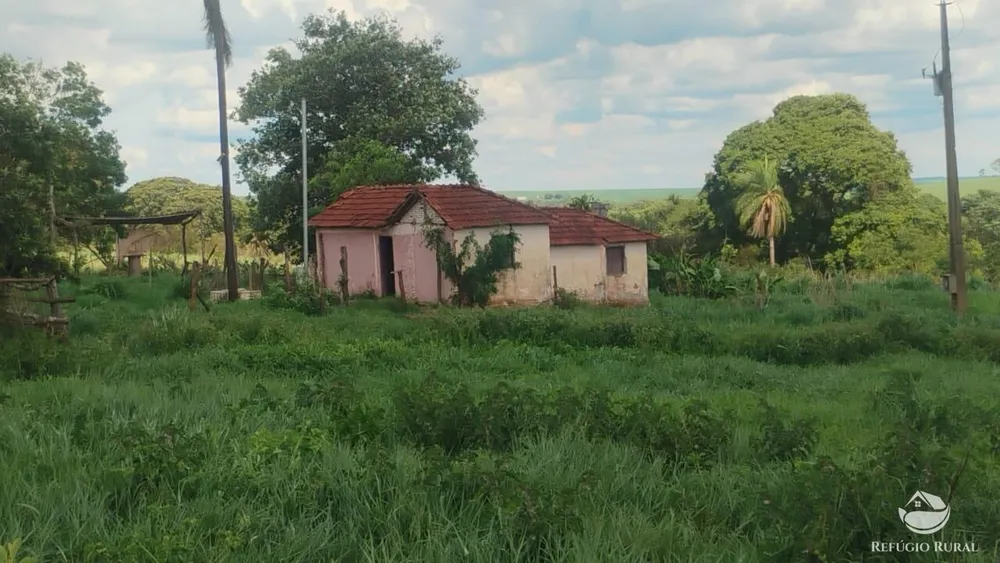 Fazenda, 87 hectares - Foto 1