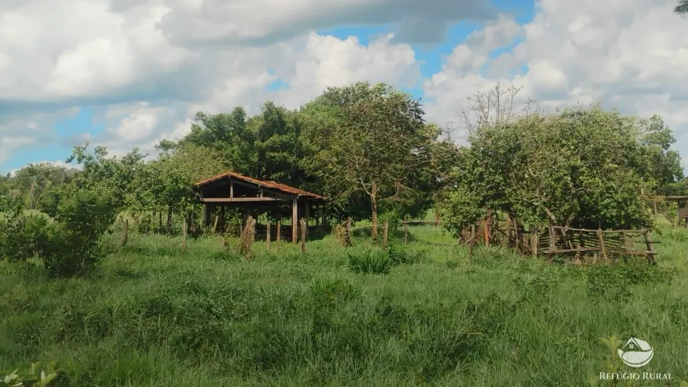 Fazenda, 87 hectares - Foto 3