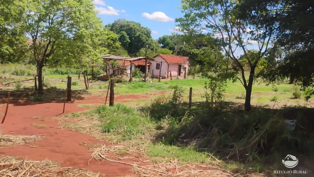 Fazenda, 87 hectares - Foto 4
