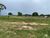 Fazenda, 1326 hectares - Foto 3