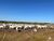 Fazenda, 1326 hectares - Foto 2
