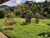 Chácara, 3 quartos, 5 hectares - Foto 18