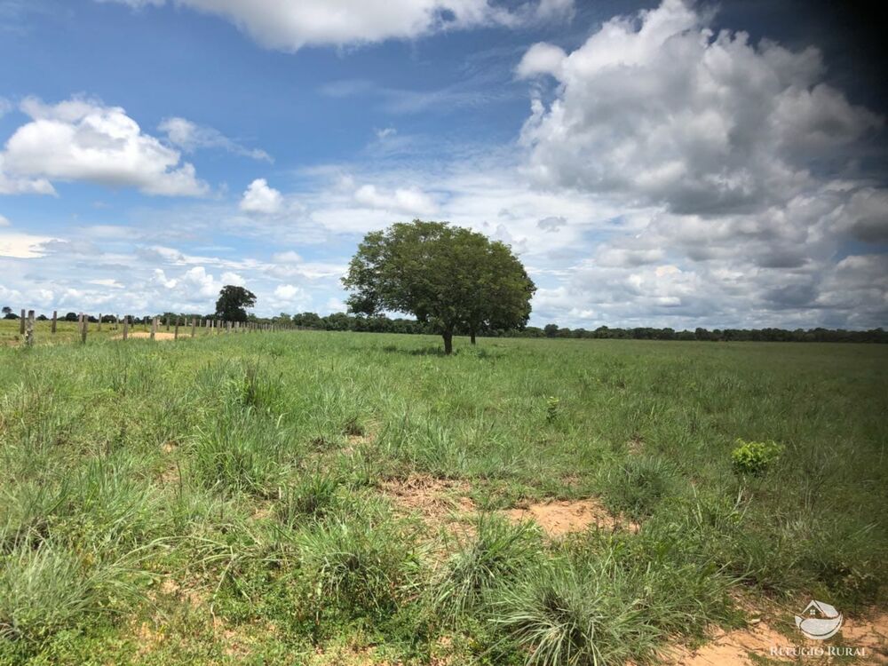 Fazenda à venda com 2 quartos, 46948000m² - Foto 3