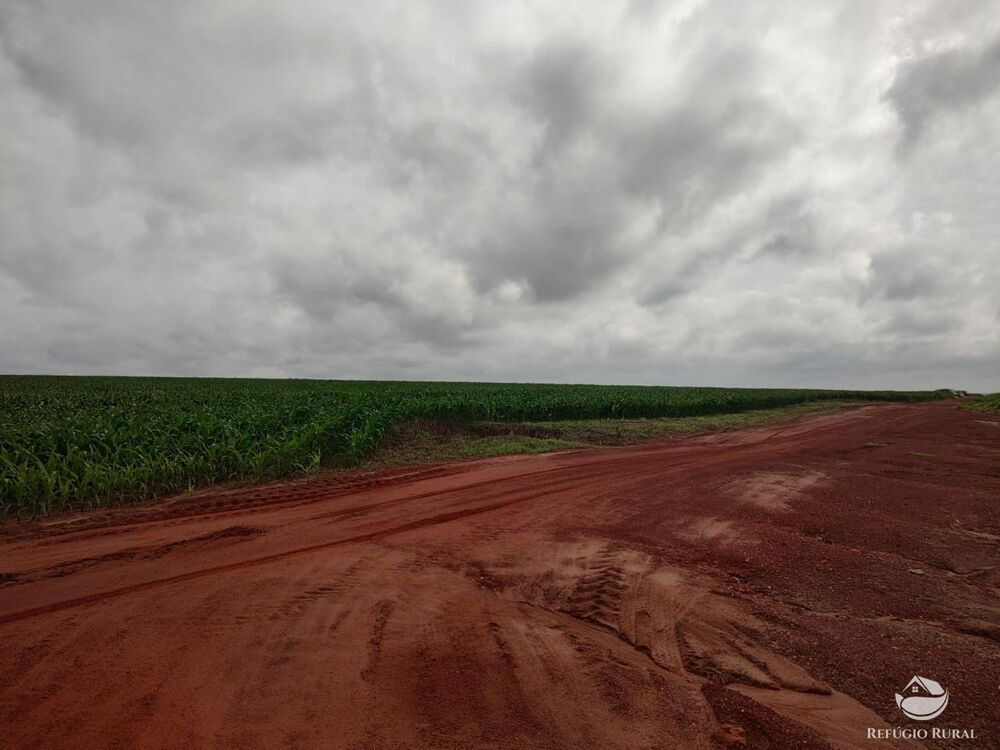 Fazenda à venda com 2 quartos, 46948000m² - Foto 4