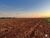 Fazenda-Sítio-Chácara, 4695 hectares - Foto 1