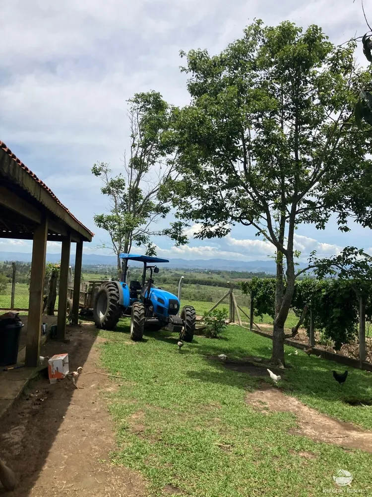 Sítio, 39 hectares - Foto 6