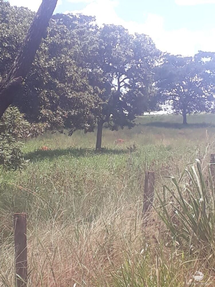 Fazenda à venda com 2 quartos, 41527200m² - Foto 2