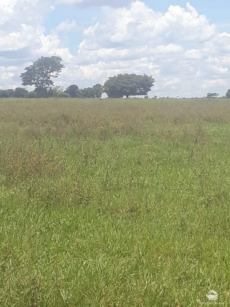 Fazenda à venda com 2 quartos, 41527200m² - Foto 3