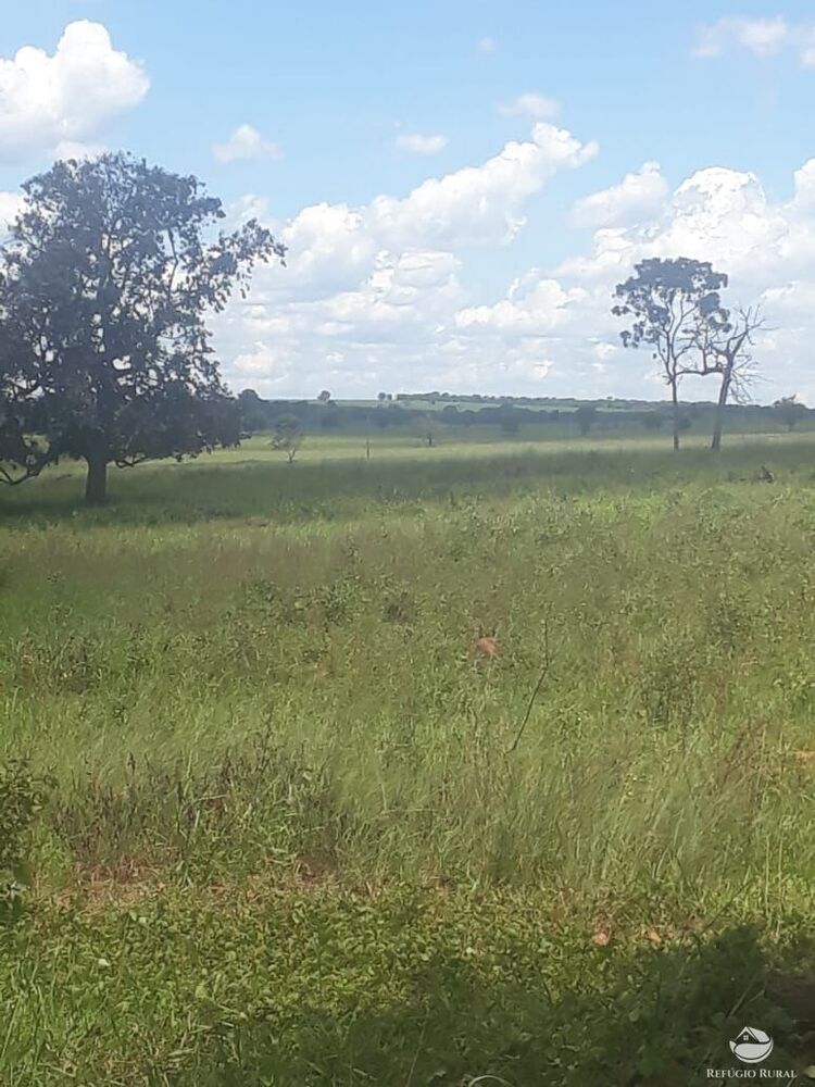 Fazenda à venda com 2 quartos, 41527200m² - Foto 1