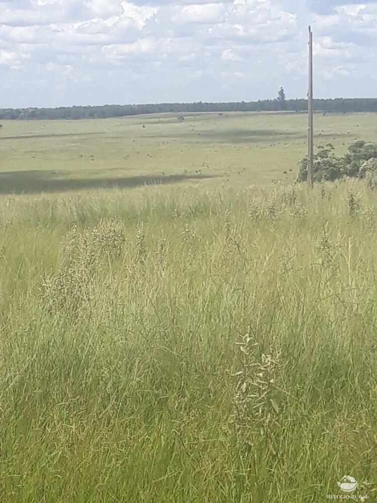 Fazenda à venda com 2 quartos, 41527200m² - Foto 4