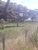 Fazenda-Sítio-Chácara, 4153 hectares - Foto 2