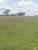 Fazenda-Sítio-Chácara, 4153 hectares - Foto 3