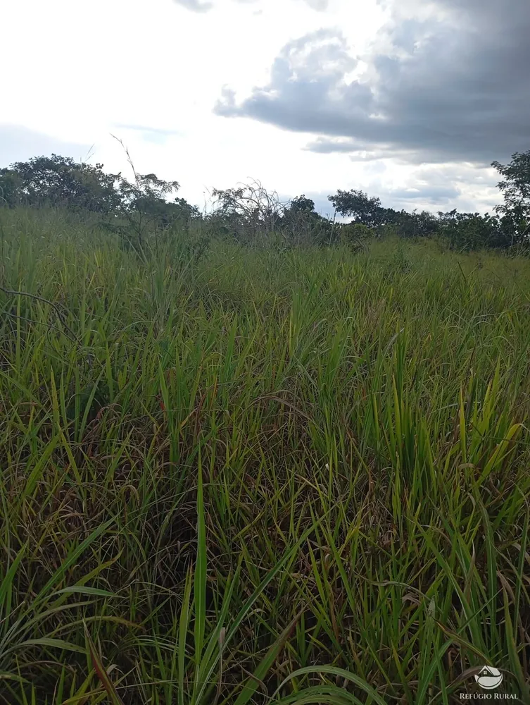 Fazenda, 215 hectares - Foto 1