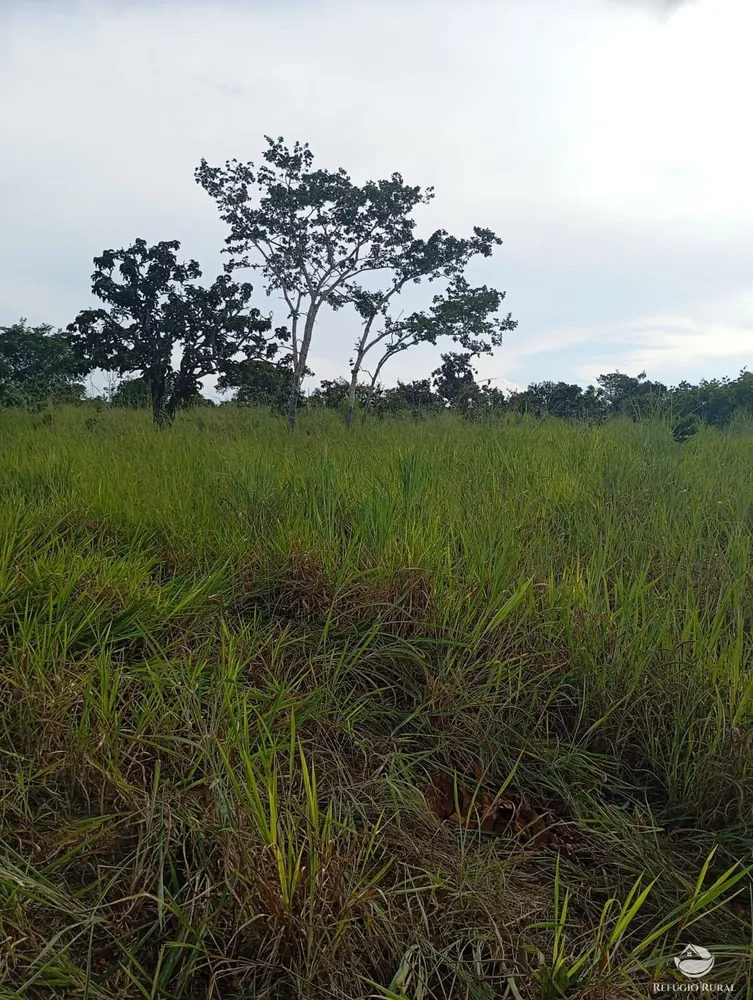 Fazenda, 215 hectares - Foto 12