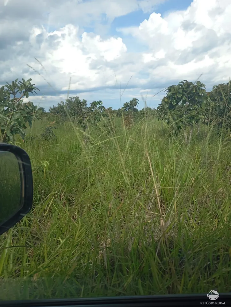 Fazenda, 215 hectares - Foto 4