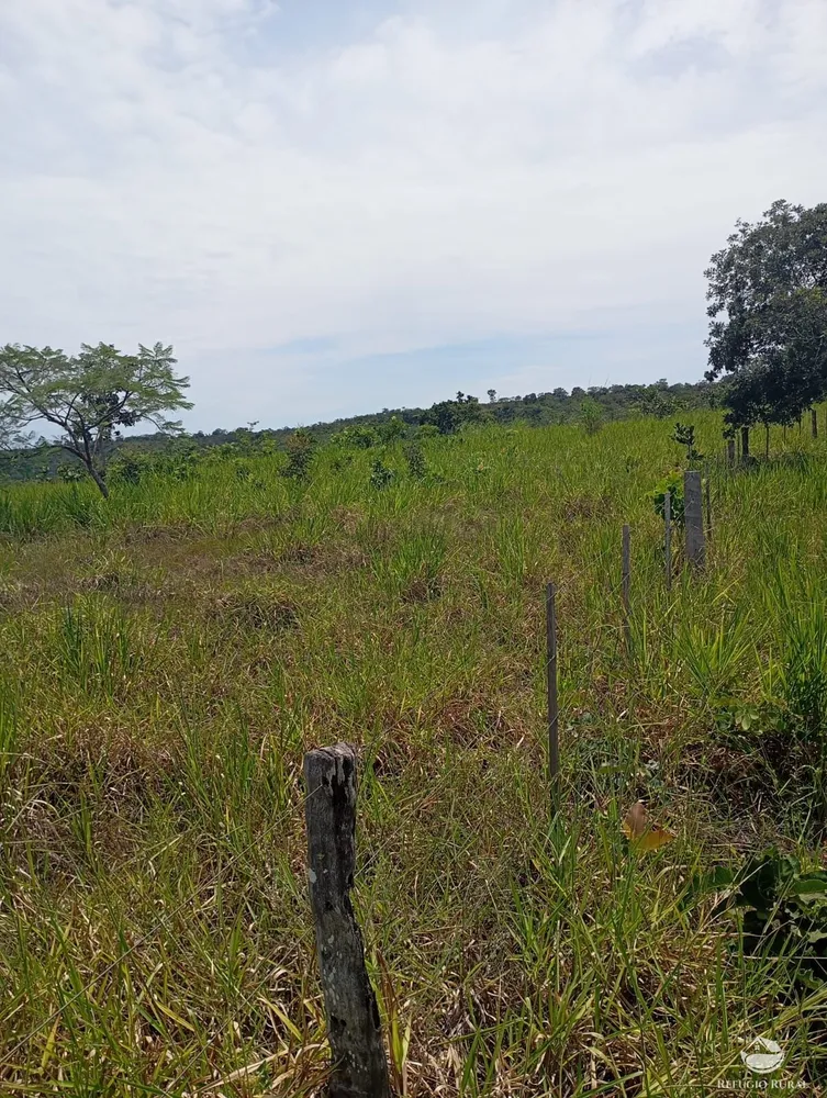 Fazenda, 215 hectares - Foto 6