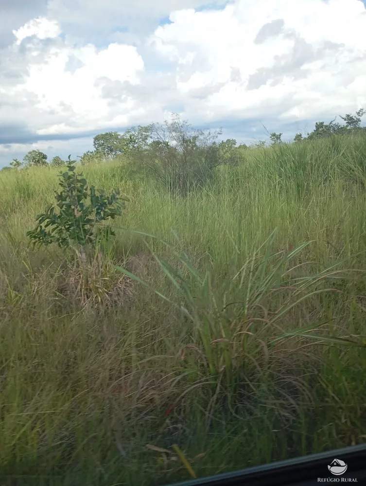 Fazenda, 215 hectares - Foto 9