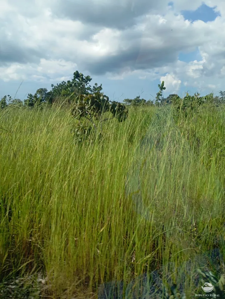 Fazenda, 215 hectares - Foto 2