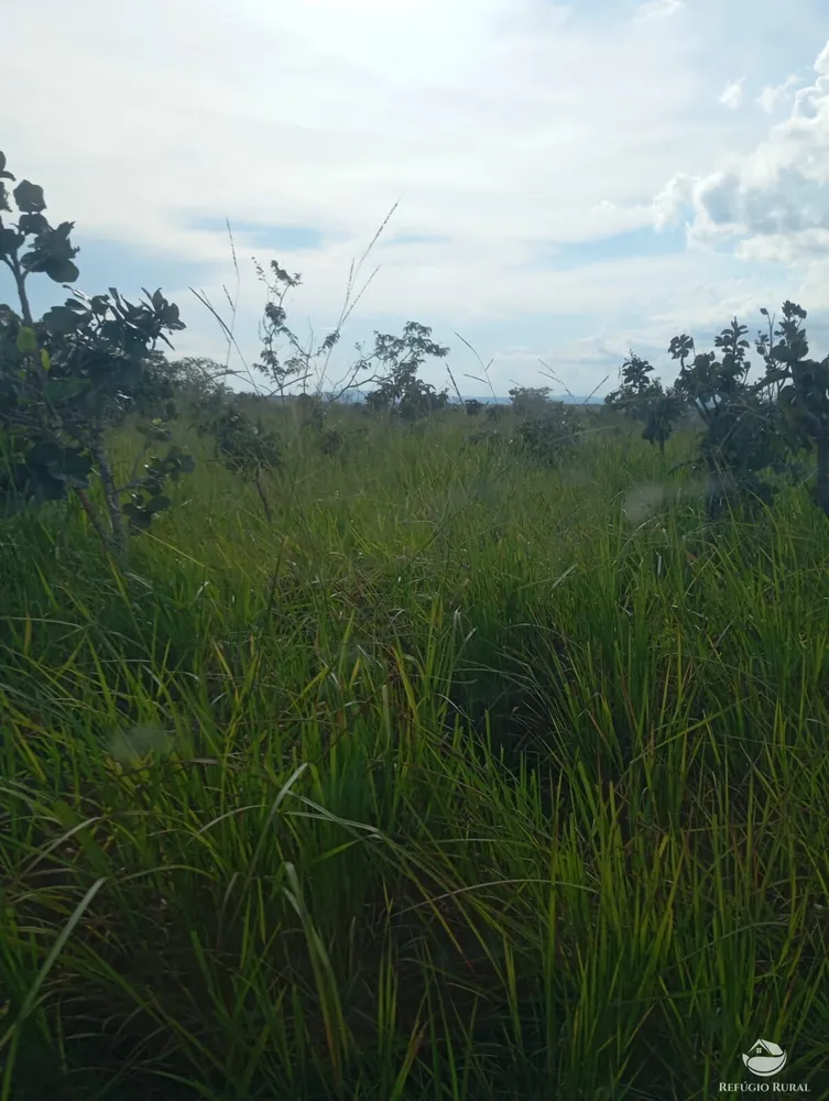 Fazenda, 215 hectares - Foto 10