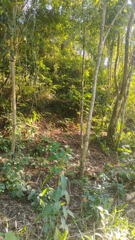 Chácara, 1600 m² - Foto 5