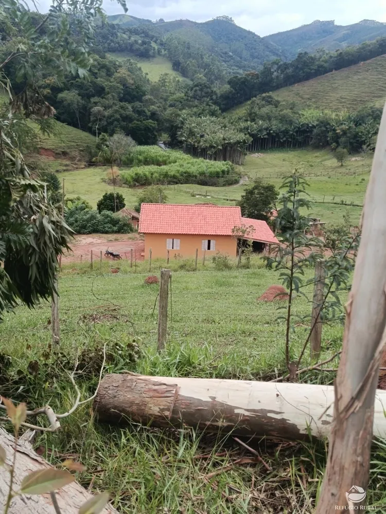 Chácara, 1600 m² - Foto 4