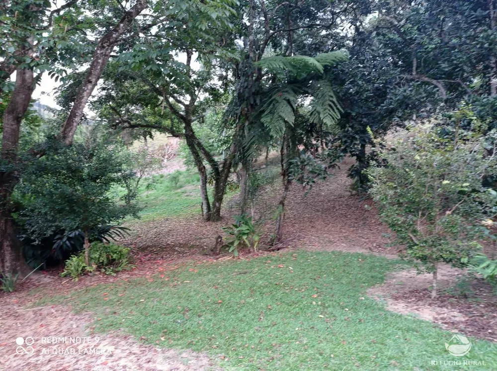 Sítio, 19 hectares - Foto 9