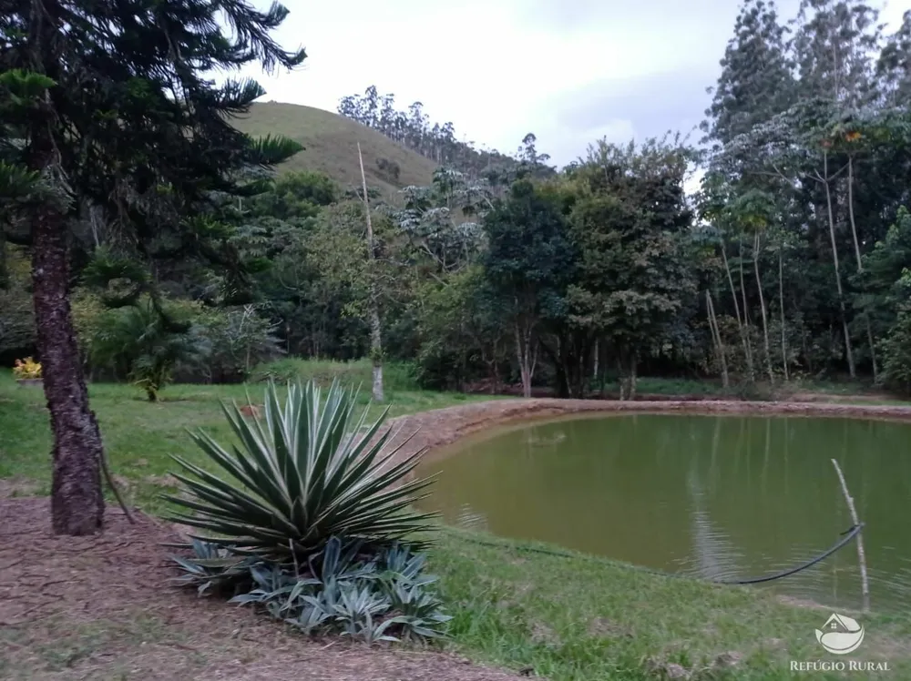 Sítio, 19 hectares - Foto 1