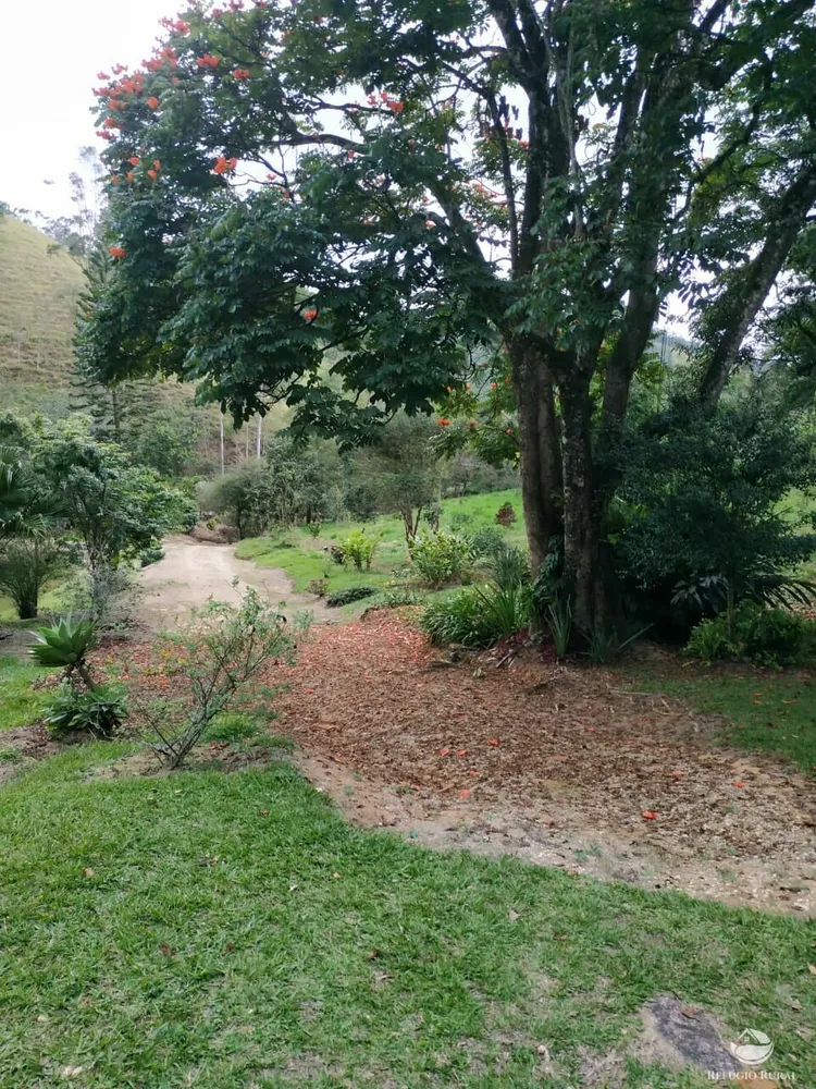 Sítio, 19 hectares - Foto 10