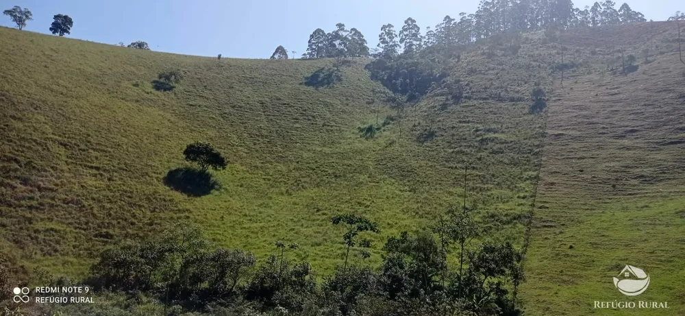 Sítio, 19 hectares - Foto 16