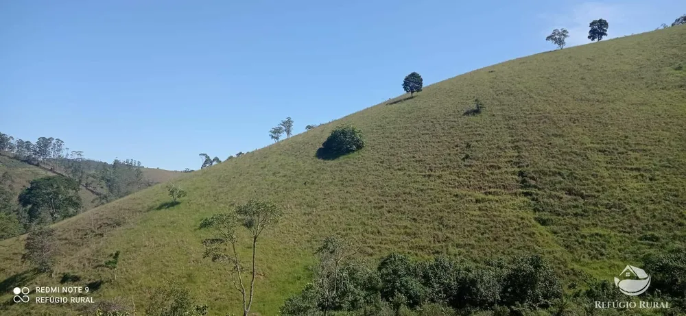 Sítio, 19 hectares - Foto 14