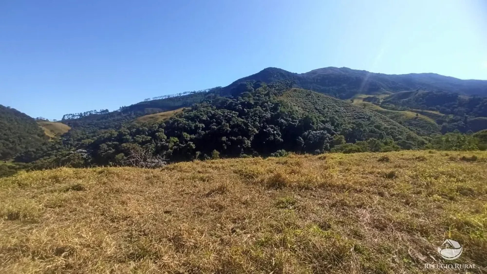 Sítio, 24 hectares - Foto 12
