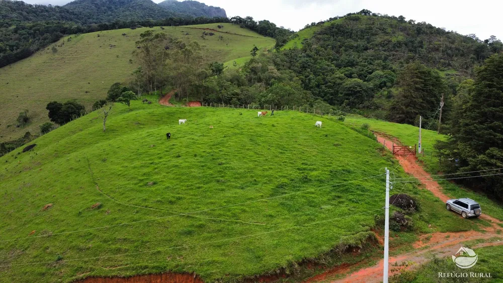 Terreno, 6 hectares - Foto 7
