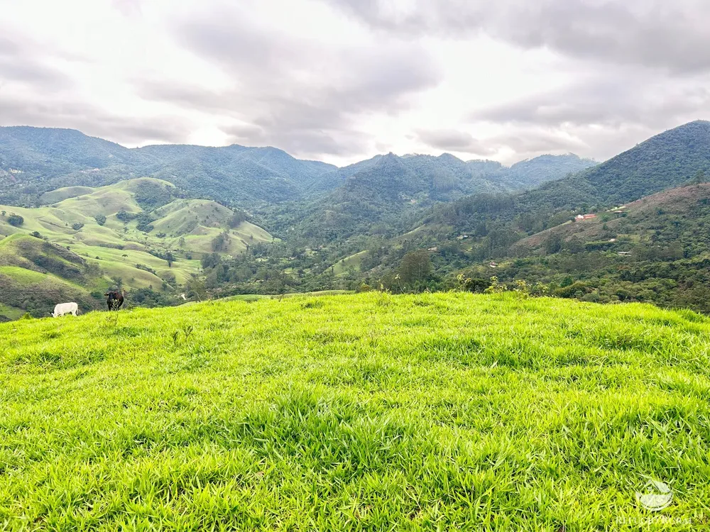 Terreno, 6 hectares - Foto 1