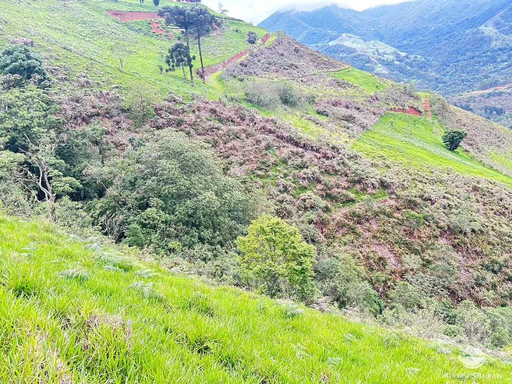 Terreno, 6 hectares - Foto 9