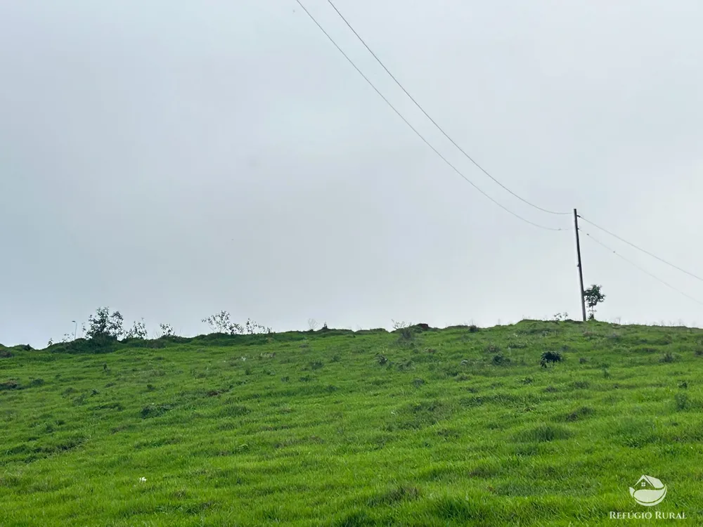 Terreno, 6 hectares - Foto 12