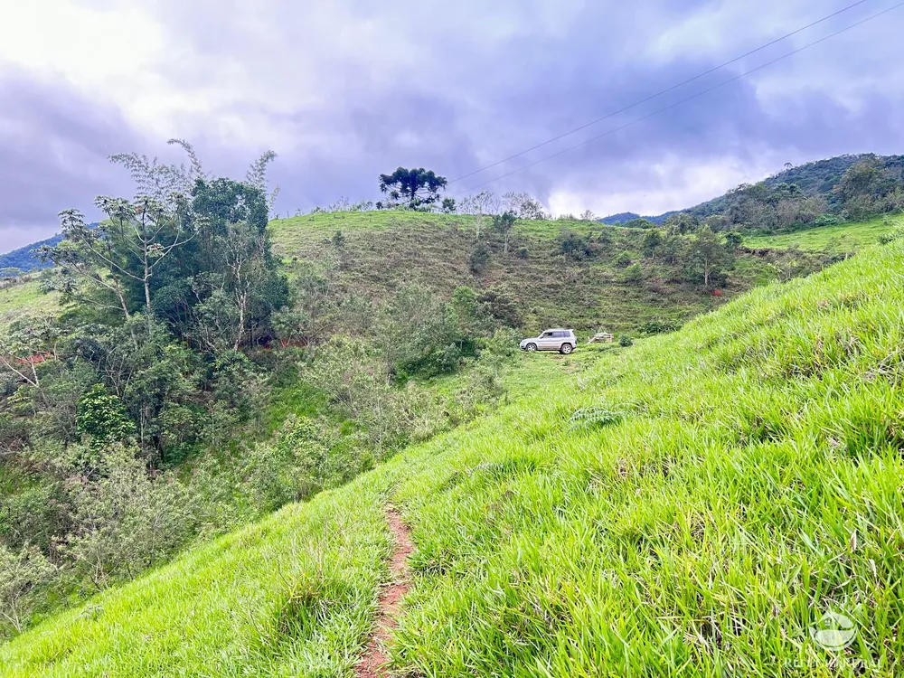 Terreno, 6 hectares - Foto 10