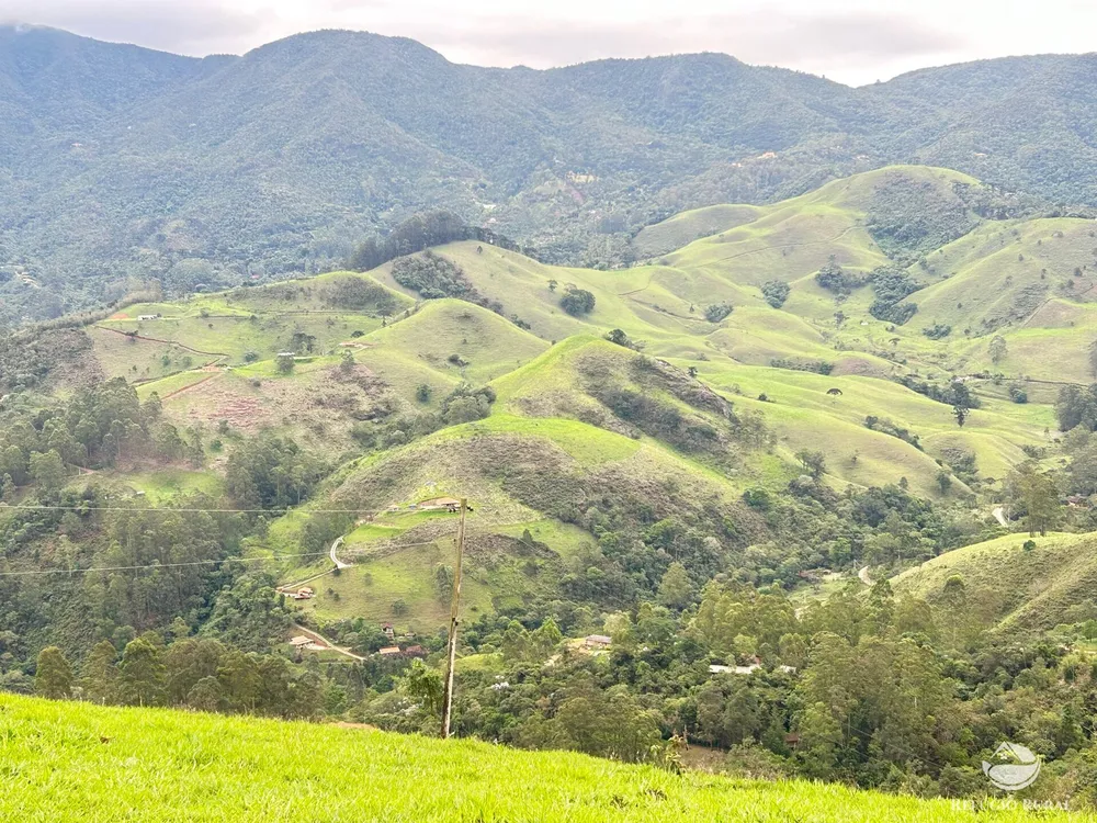 Terreno, 6 hectares - Foto 4