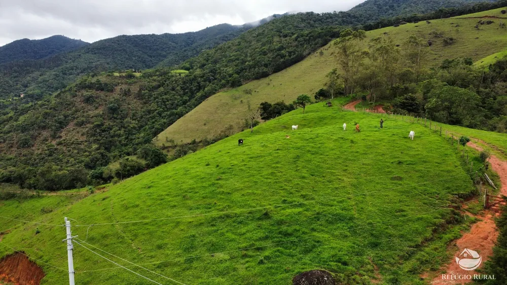 Terreno, 6 hectares - Foto 8
