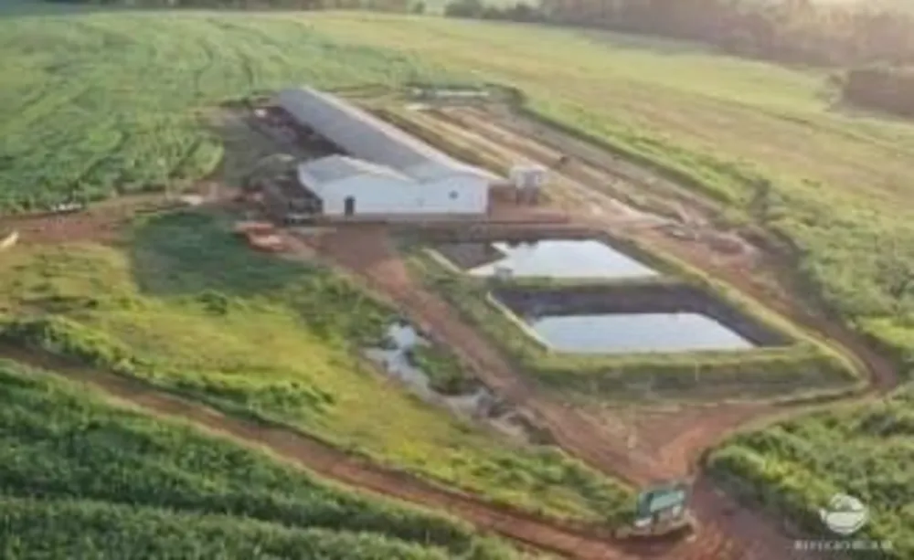 Fazenda, 1817 hectares - Foto 4