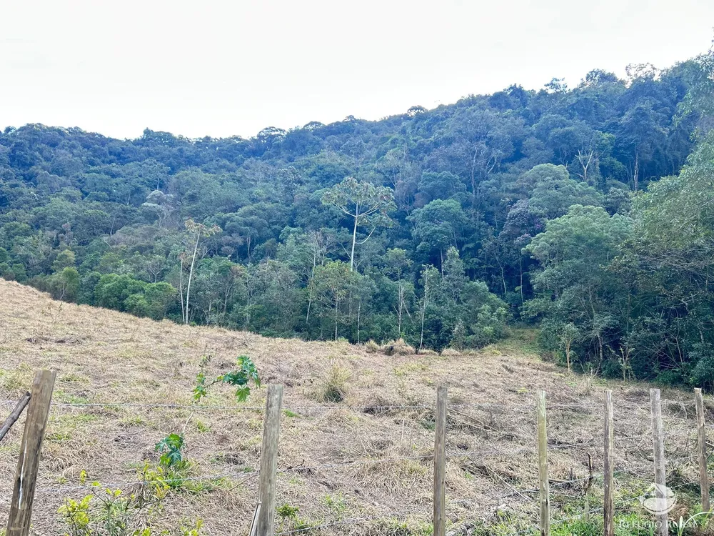 Terreno, 7 hectares - Foto 3