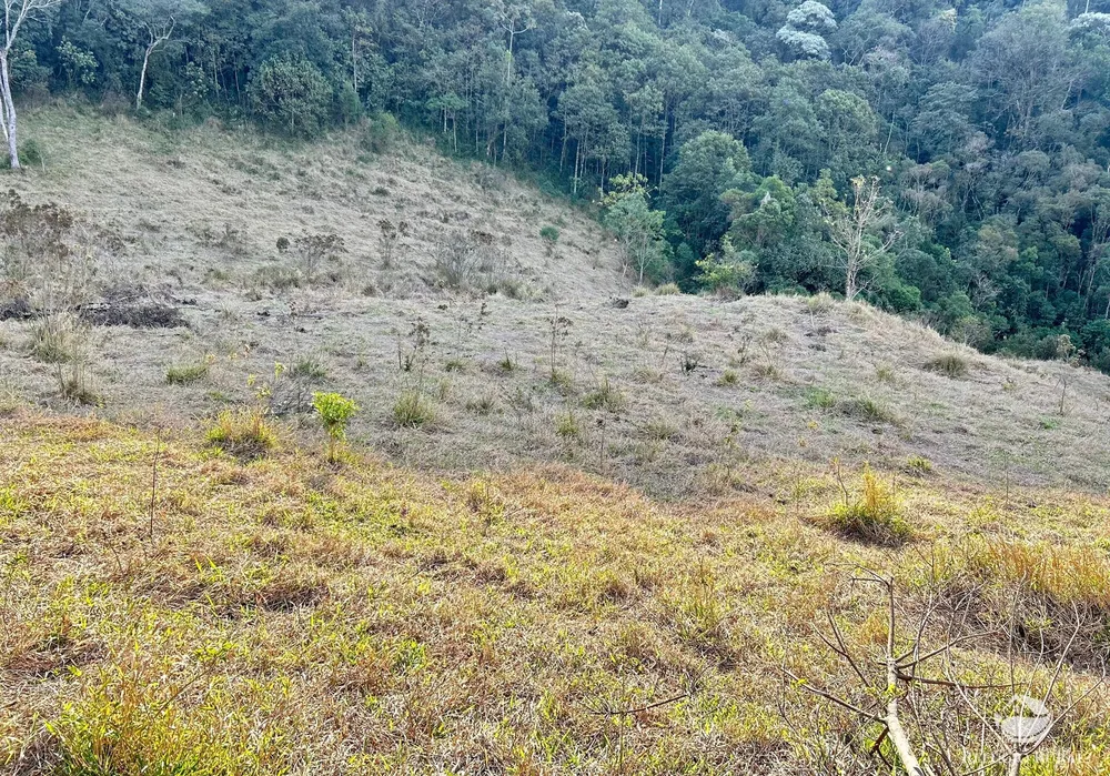 Terreno, 7 hectares - Foto 9