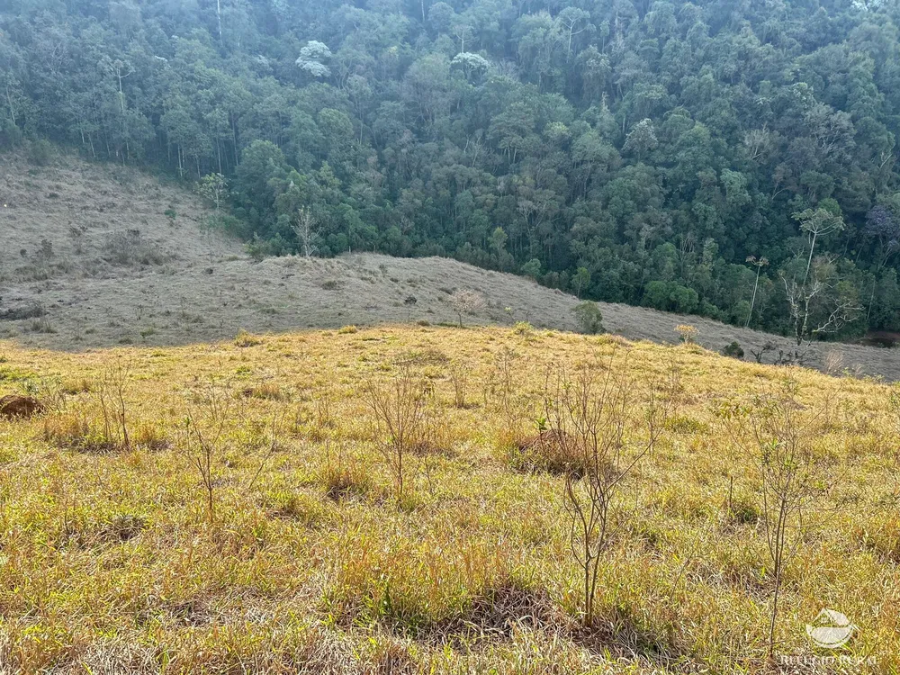 Terreno, 7 hectares - Foto 6