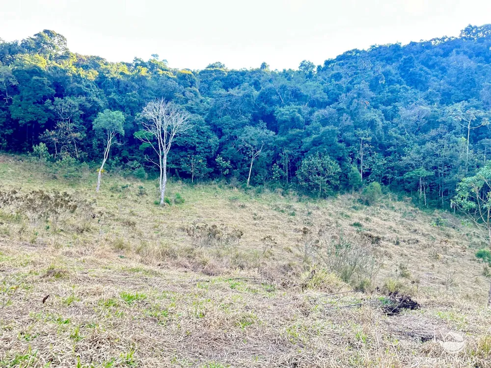 Terreno, 7 hectares - Foto 1